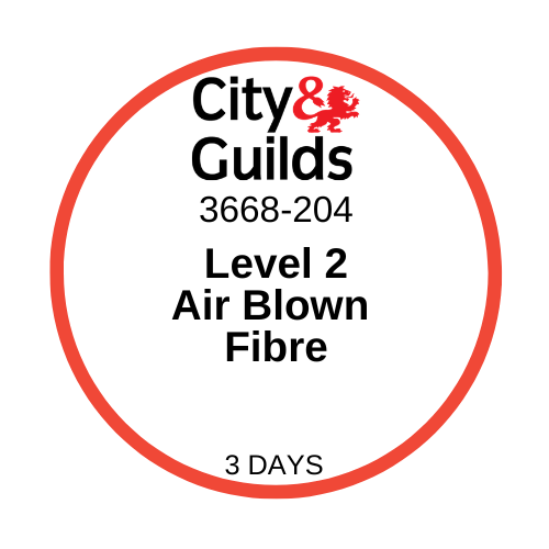 City and Guilds 3668 - 02, Unit 204 Level 2 Air Blown Fibre